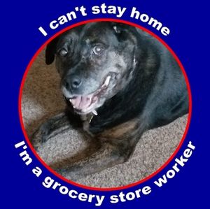 Meet your Posher, Marci